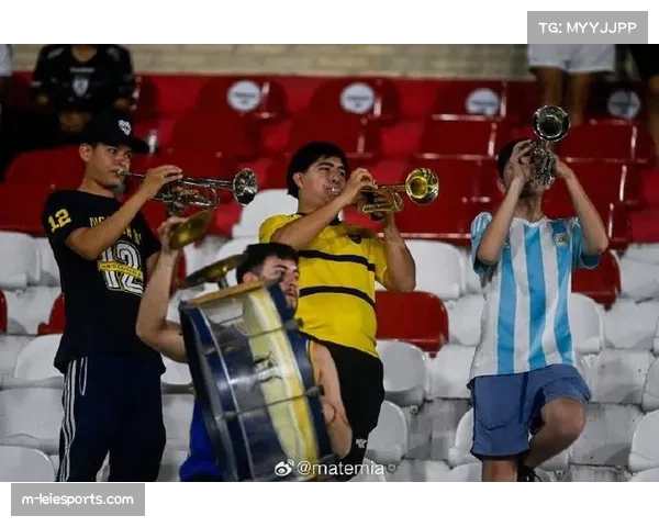 21世纪以来，阿根廷四队曾夺得解放者杯冠军