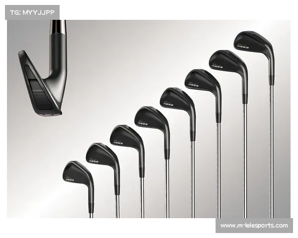 湖南宁远高尔夫体育装备产业园打造全产业链,一根球杆“链”出百亿产业 湖南宁远高尔夫体育装备产业园打造全产业链,一根球杆“链”出百亿产业